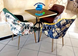 chaise-et-table-de-cafe